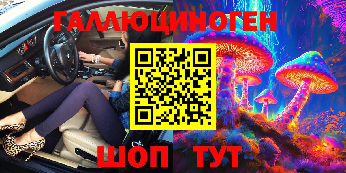 Галлюциногенные грибы Psilocybine cubensis Тамбов