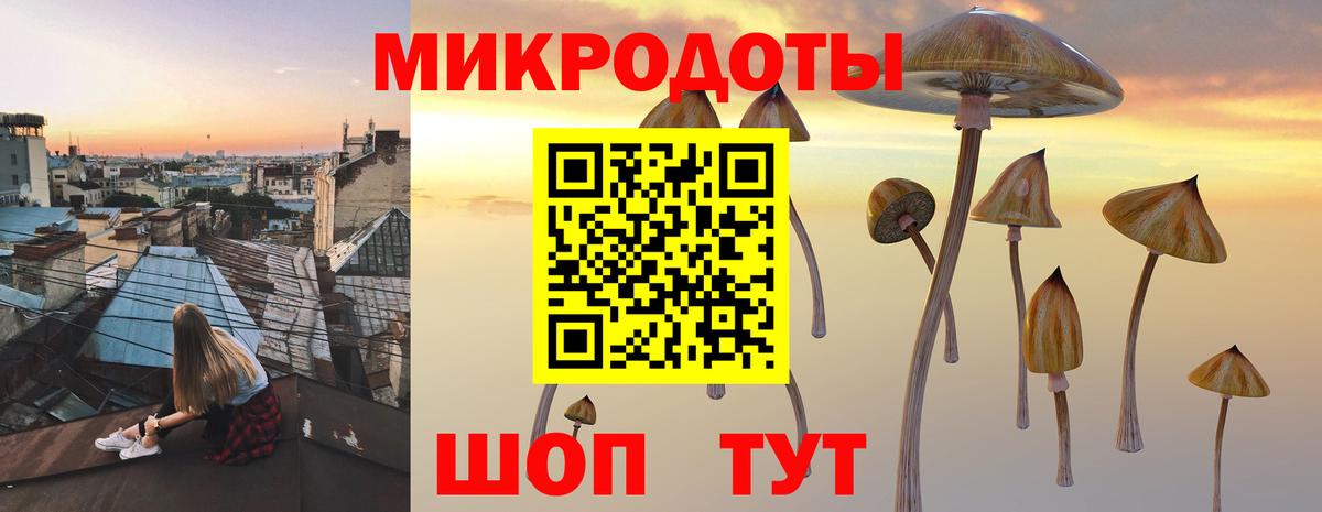 Тамбов  где купить наркоту  Вход с VPN  Галлюциногенные грибы мухоморы 