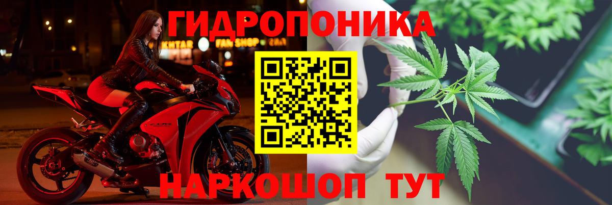 МАРИХУАНА семена Тамбов